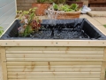 Water Feature