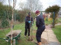 Sensory Garden